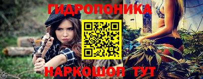 шишки Гусь-Хрустальный