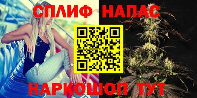 гидропоника Гусиноозёрск