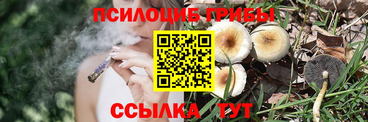 Троицк  Псилоцибиновые грибы мухоморы  Вход с VPN  Псилоцибиновые грибы Magic Shrooms 